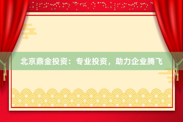 北京鼎金投资：专业投资，助力企业腾飞