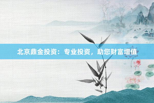 北京鼎金投资：专业投资，助您财富增值