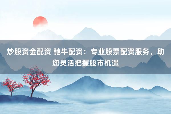 炒股资金配资 驰牛配资：专业股票配资服务，助您灵活把握股市机遇