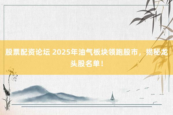 股票配资论坛 2025年油气板块领跑股市，揭秘龙头股名单！
