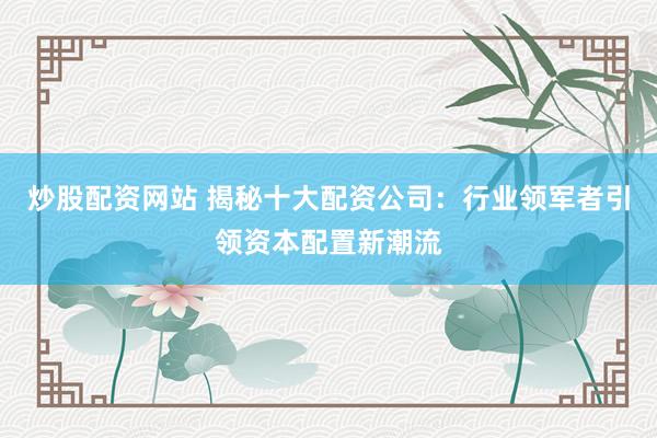 炒股配资网站 揭秘十大配资公司：行业领军者引领资本配置新潮流