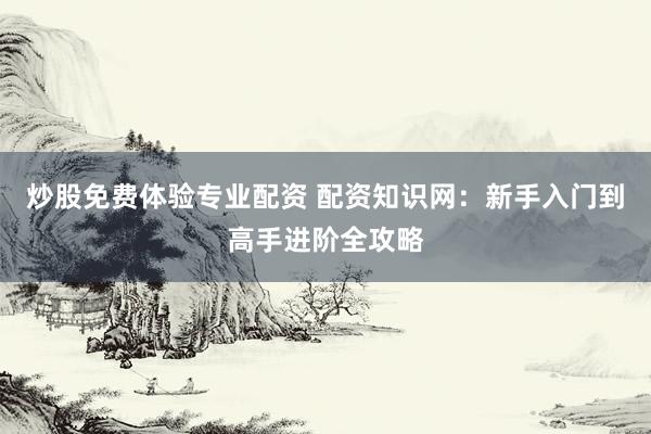 炒股免费体验专业配资 配资知识网：新手入门到高手进阶全攻略
