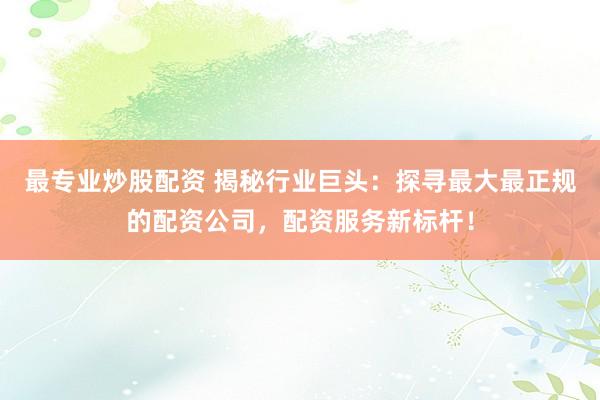 最专业炒股配资 揭秘行业巨头：探寻最大最正规的配资公司，配资服务新标杆！