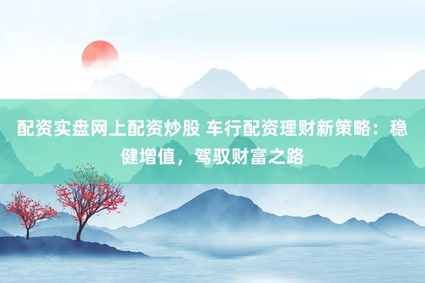 配资实盘网上配资炒股 车行配资理财新策略：稳健增值，驾驭财富之路