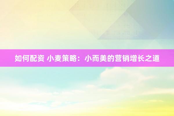 如何配资 小麦策略：小而美的营销增长之道