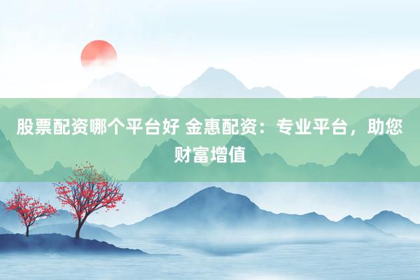 股票配资哪个平台好 金惠配资：专业平台，助您财富增值