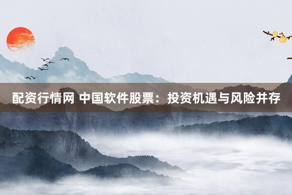 配资行情网 中国软件股票：投资机遇与风险并存