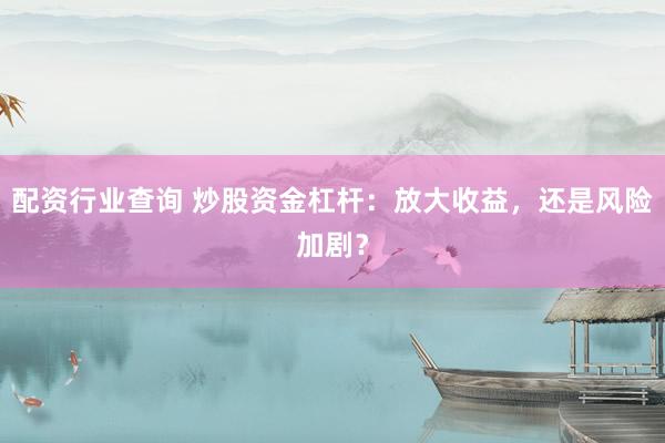 配资行业查询 炒股资金杠杆：放大收益，还是风险加剧？