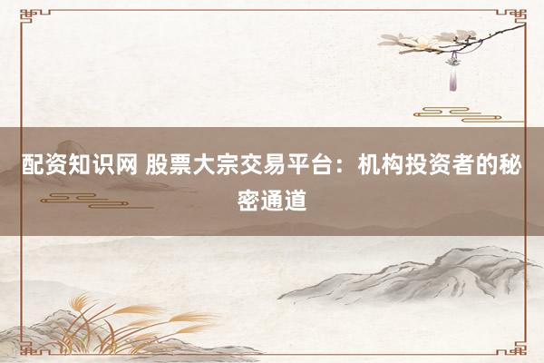 配资知识网 股票大宗交易平台：机构投资者的秘密通道