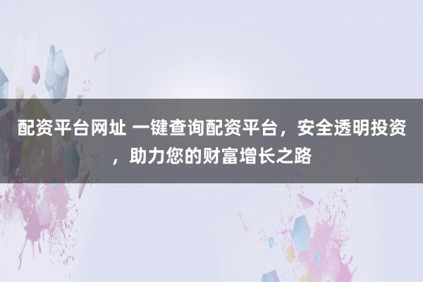 配资平台网址 一键查询配资平台，安全透明投资，助力您的财富增长之路