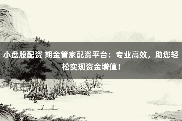 小盘股配资 期金管家配资平台：专业高效，助您轻松实现资金增值！
