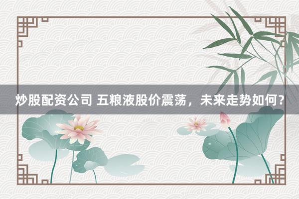 炒股配资公司 五粮液股价震荡，未来走势如何？