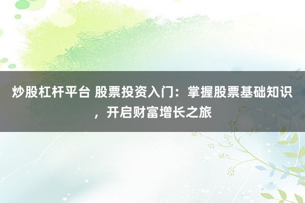 炒股杠杆平台 股票投资入门：掌握股票基础知识，开启财富增长之旅