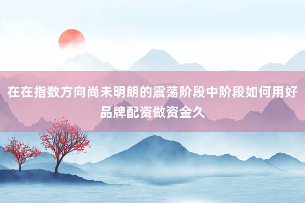 在在指数方向尚未明朗的震荡阶段中阶段如何用好品牌配资做资金久