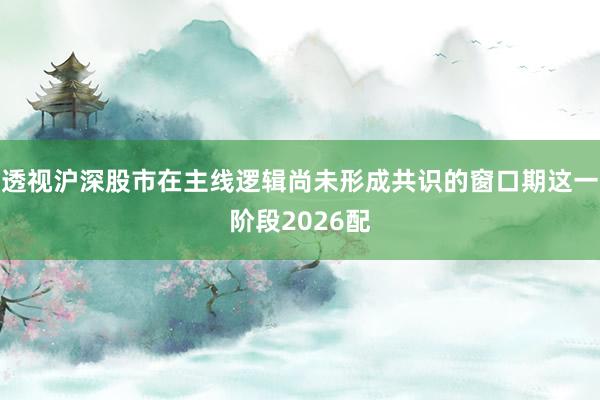 透视沪深股市在主线逻辑尚未形成共识的窗口期这一阶段2026配